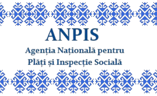 ANPIS Logo